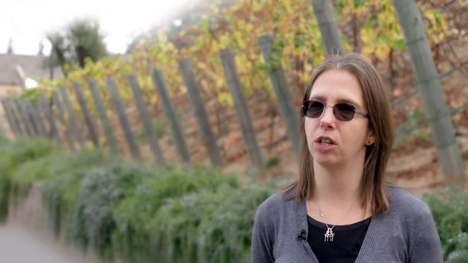 blog-how-entrust-datacard-pioneers-the-road-to-post-quantum-with-utimaco