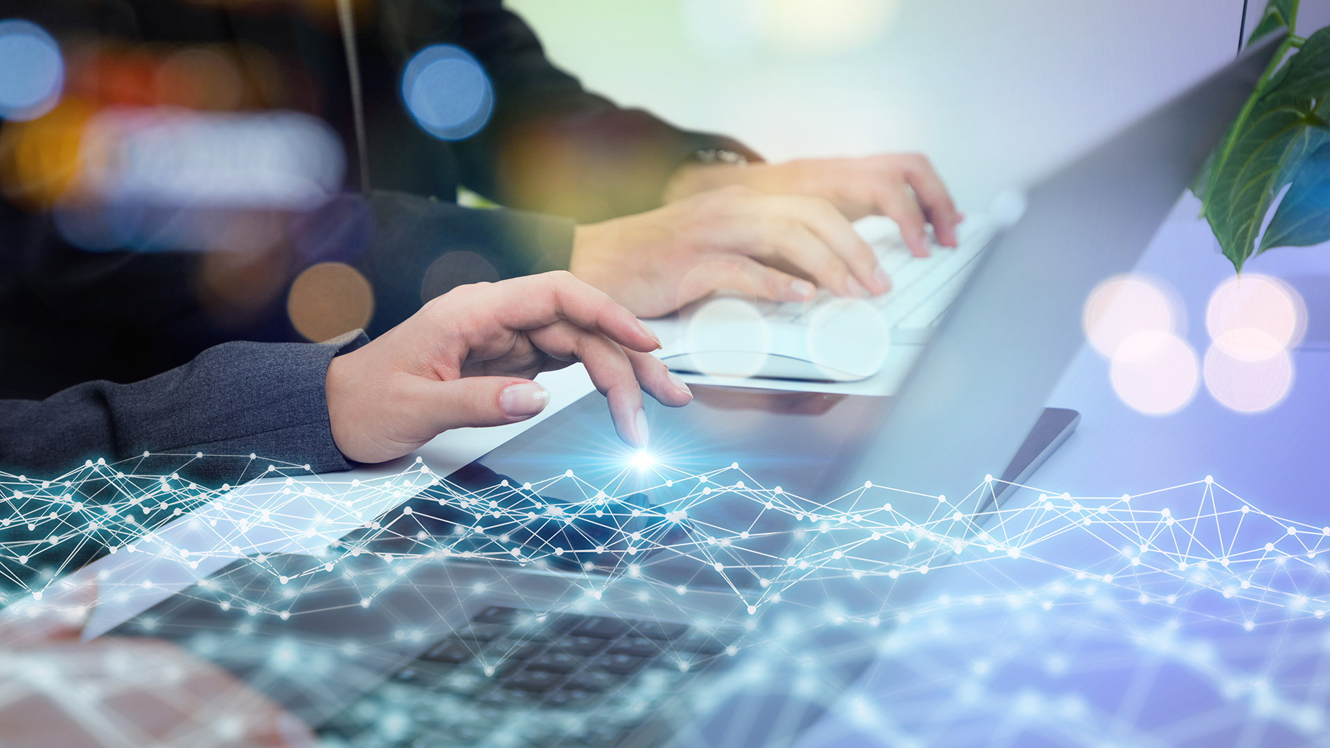 Lawful Interception Solutions for Fixed Network Operators