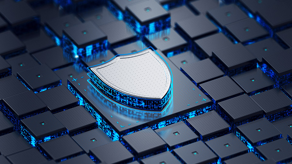 On premise data security in insurance