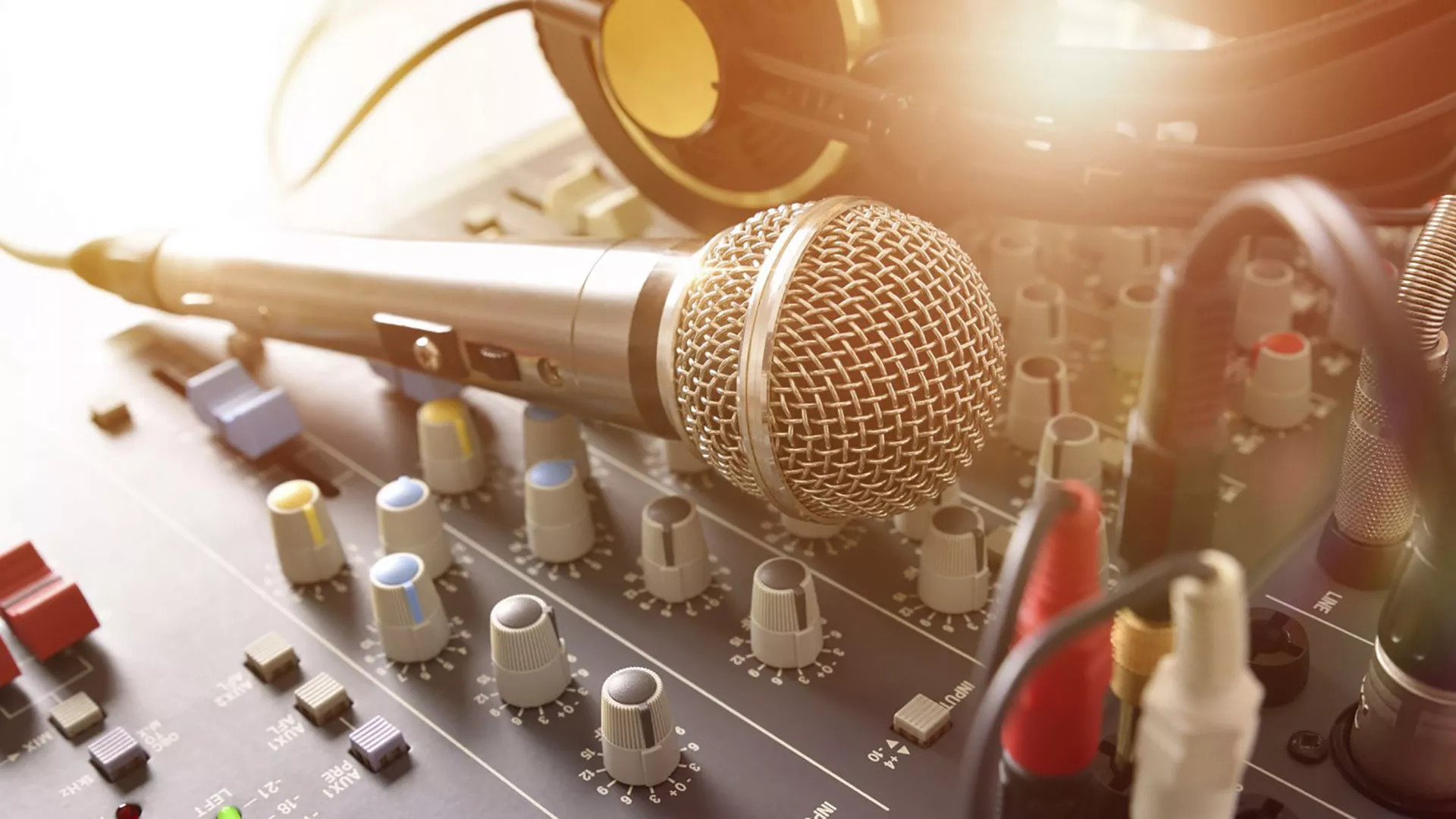 Microphone and sound equipment