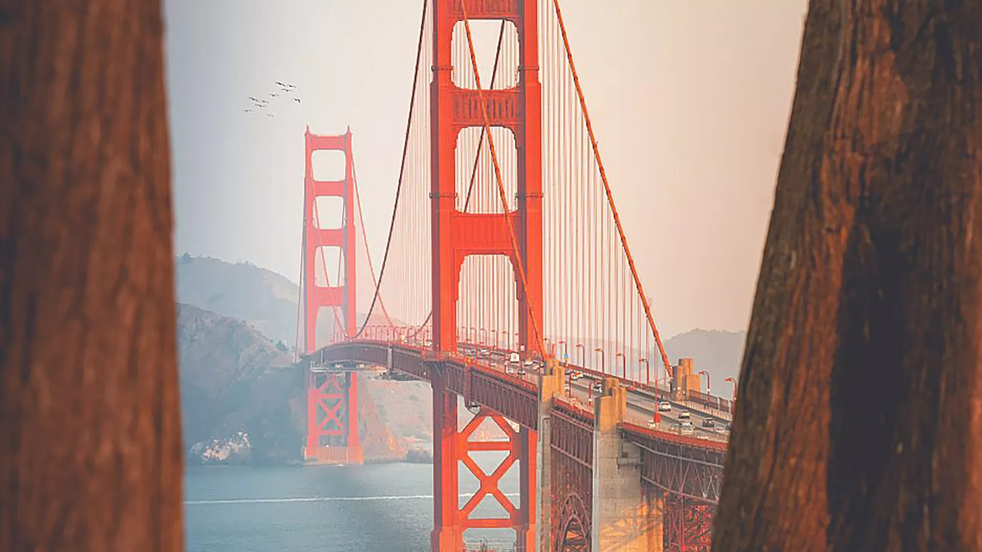 blog-distinctive-requirements-between-pci-pts