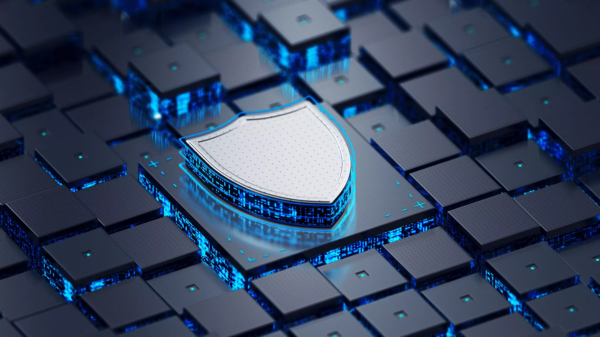 On premise data security in insurance