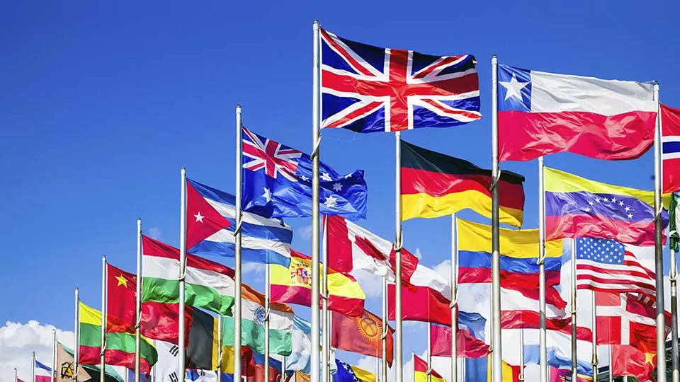 Government & Public Sector