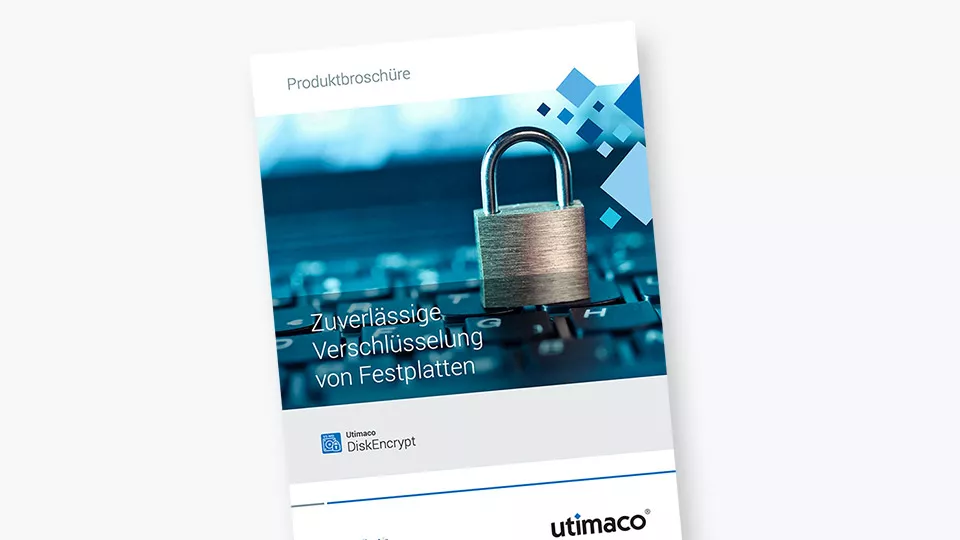 DiskEncrypt Datasheet Brochure DE