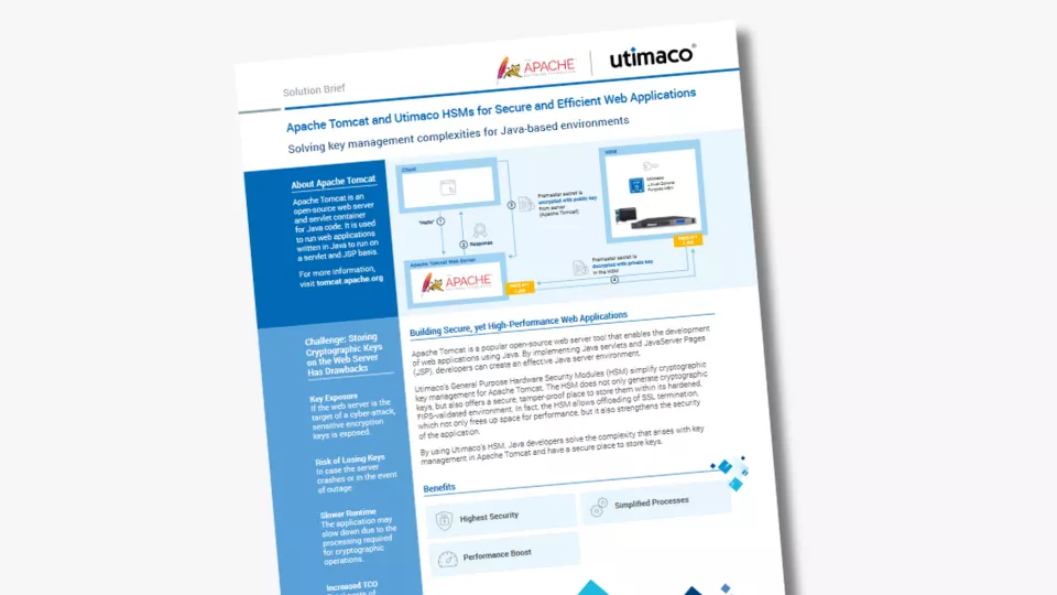 Apache Tomcat SB Teaser